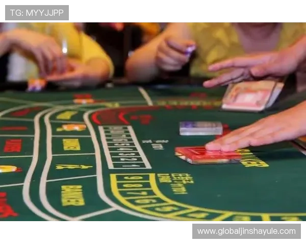 澳门有几家赌场最新统计数据及其规模分析全面解读